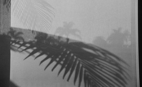 LEISURE LETTER 004: Jack Adams' Thoughts on Leisure - Dandy Del Mar