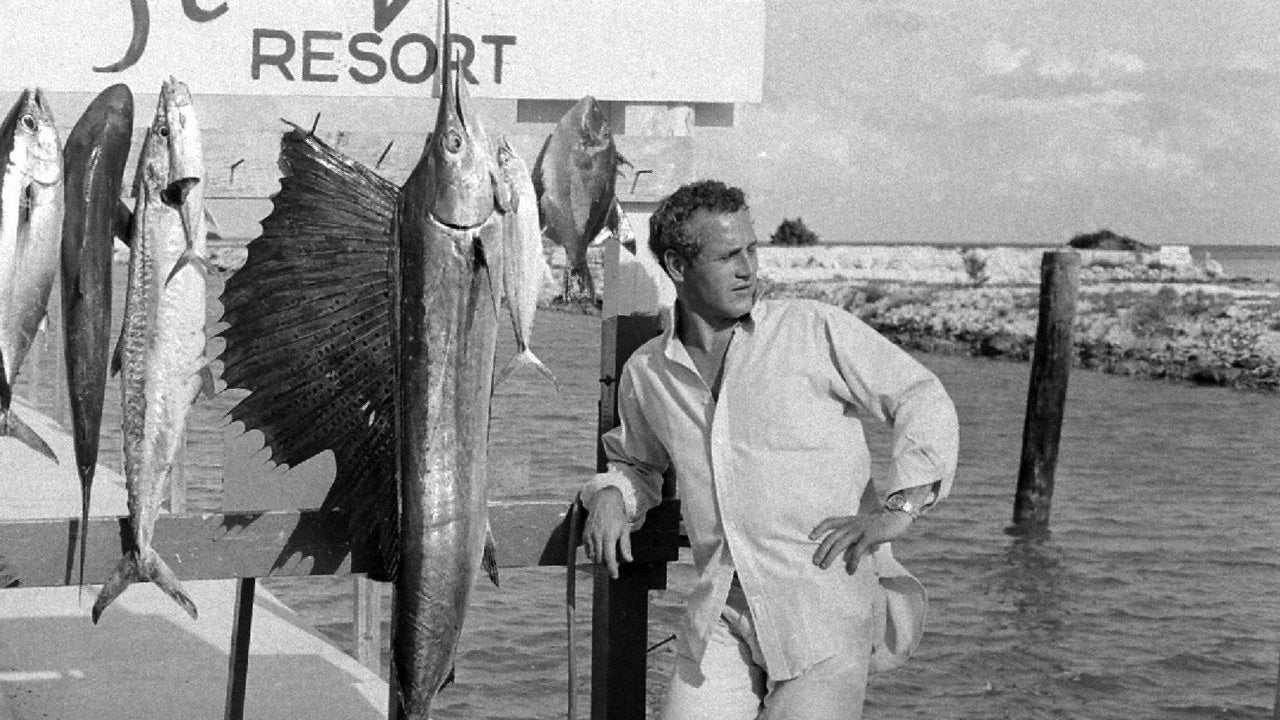 LEISURE LETTER 036: Kona - A Fishing Story Part II - Dandy Del Mar