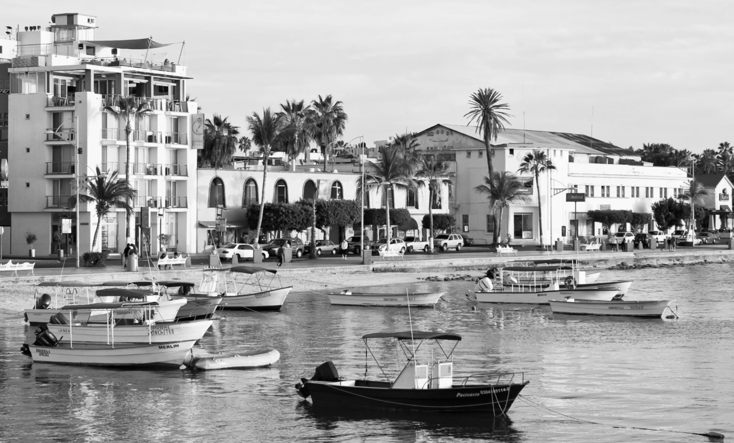 LEISURE LETTER 030: Finding La Paz By The Sea - Part II - Dandy Del Mar