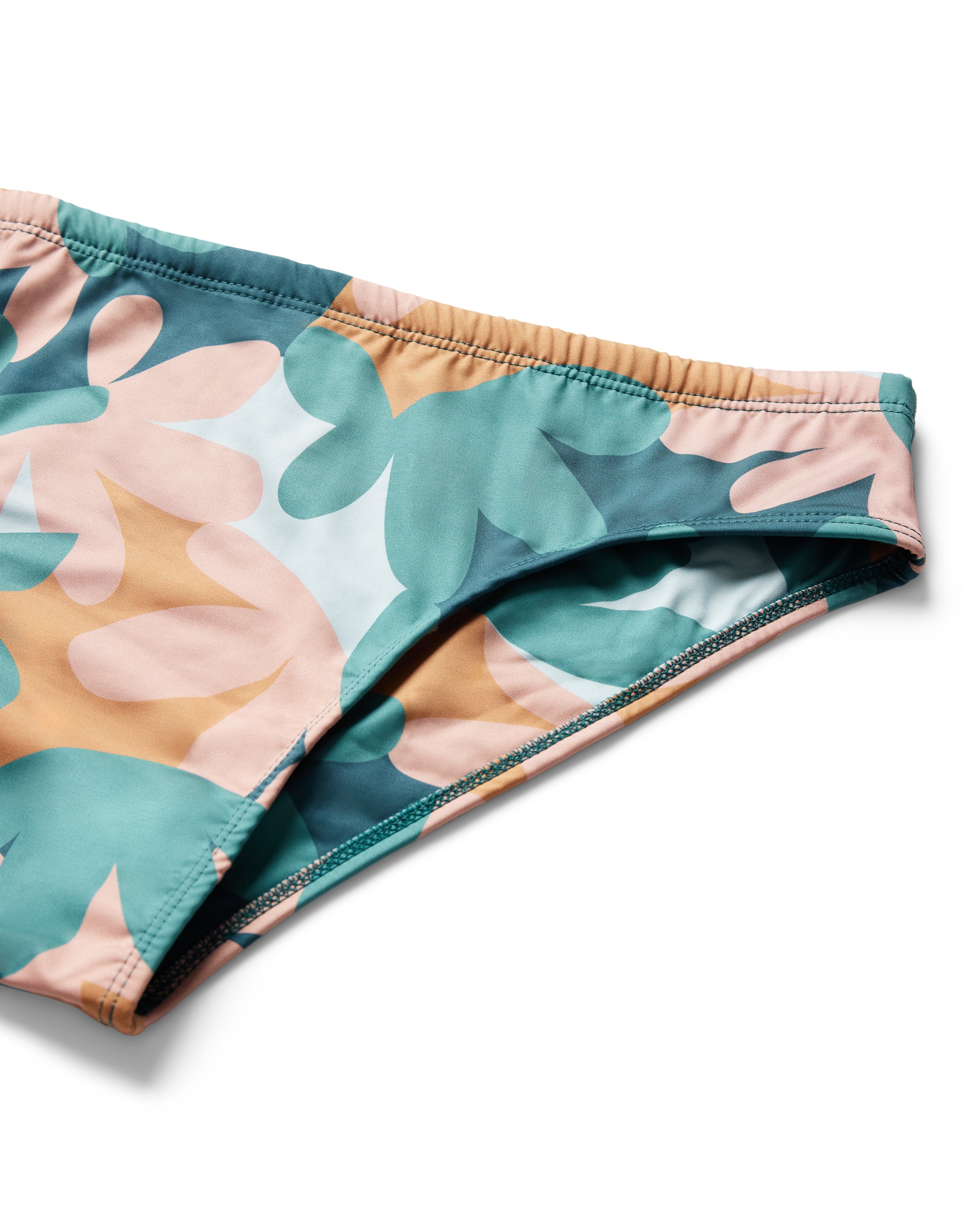 dandy del swim brief