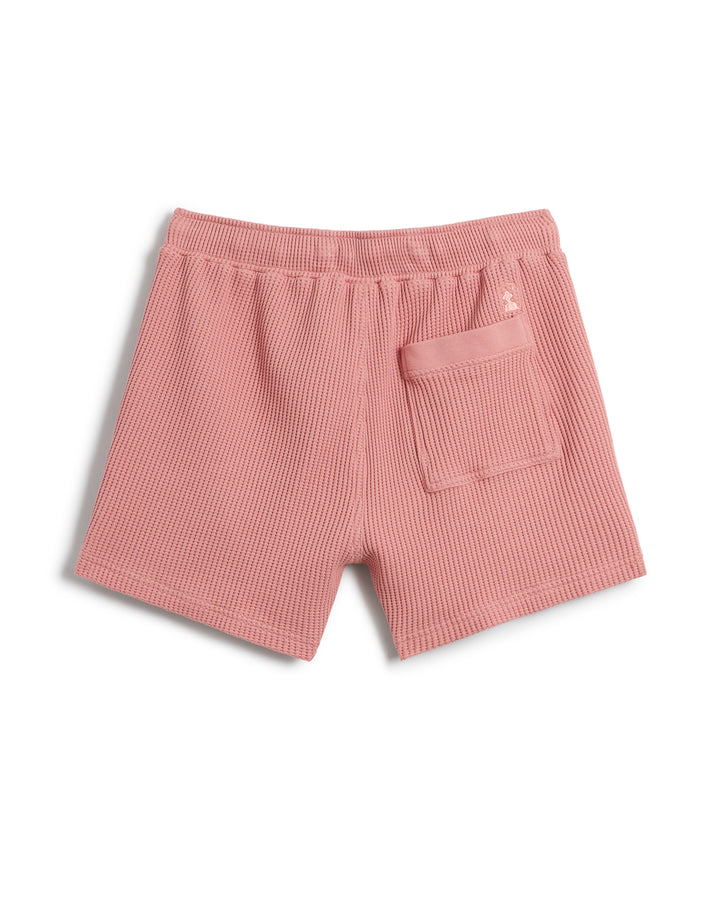 The Cannes Waffle Knit Shorts - Spanish Rose by Dandy Del Mar showcase a pink-colored design made from 100% cotton waffle knit fabric, featuring an elastic waistband and a single back pocket.