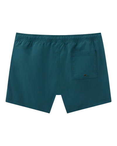 The Ventura Volley Shorts - Acqua by Dandy Del Mar are shown from the back, featuring an elastic waistband and a single back pocket with a metal grommet—a stylish men’s swimwear option.
