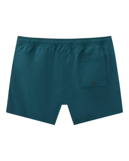 Back view of The Ventura Volley Short - Acqua by Dandy Del Mar in teal, featuring an elastic waist, right-side pocket with metal grommet, and a comfy micro mesh liner.