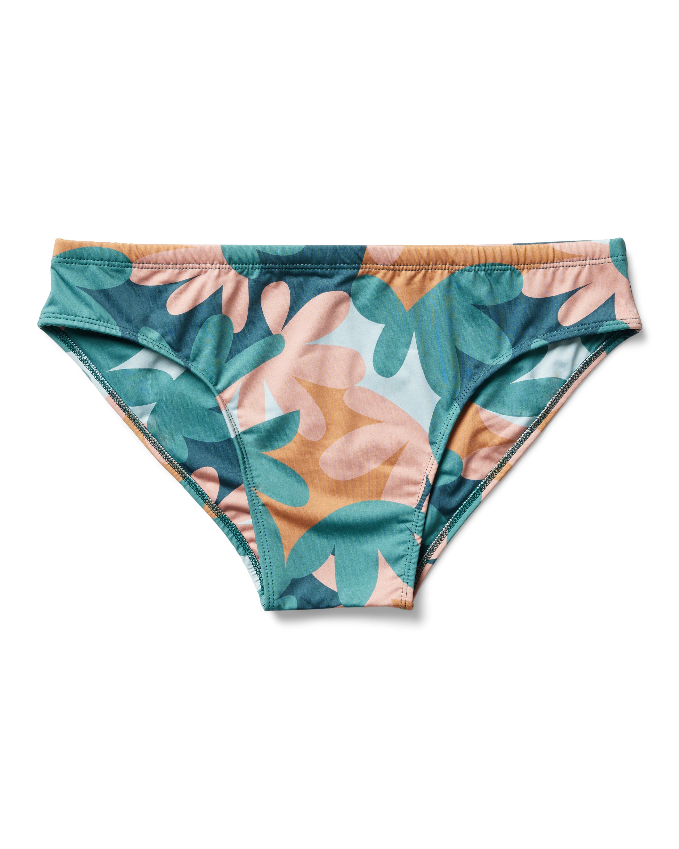 dandy del swim brief 